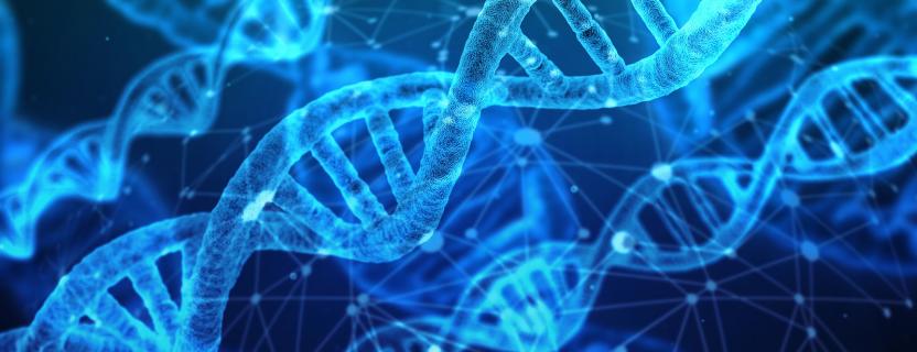 Wat is een organogram Kennisdomein